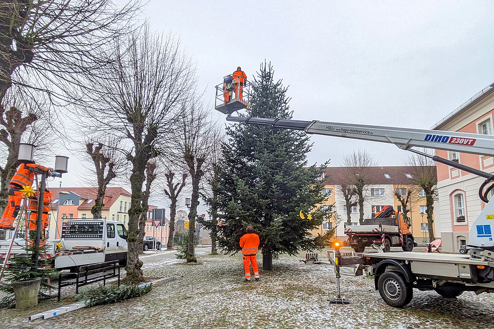 Eine schöne, rund zehn Meter hohe Nordmanntanne aus Gnewitz schmückt in diesem Jahr den Lychener Marktplatz. (Foto: Birgit Bruck) Eine schöne, rund zehn Meter hohe Nordmanntanne aus Gnewitz schmückt in diesem Jahr den Lychener Marktplatz. (Foto: Birgit Bruck)